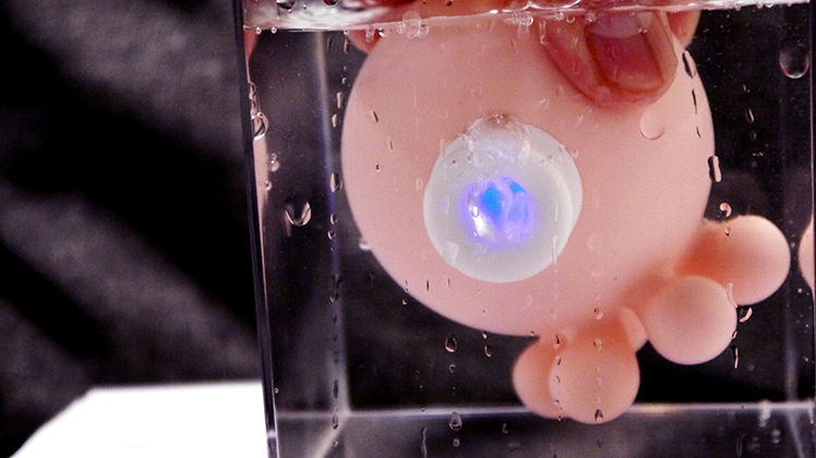 小章魚 情趣 按摩 玩具