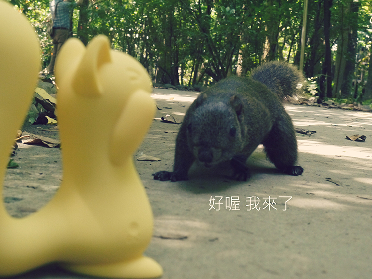 小松鼠 吸吮 使用 心得 情趣 開箱