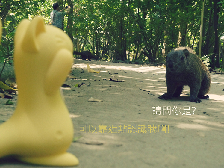 小松鼠 kiss toy 使用 按摩 開箱