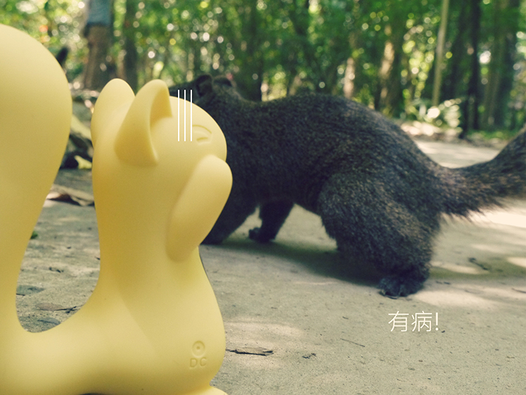 小松鼠 kiss toy 使用 玩具 情趣