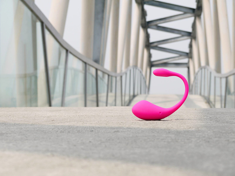 lovense lush 2 遙控 心得