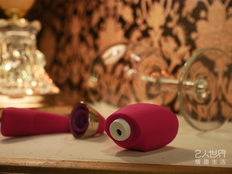 lelo tiani 情侶 共震器 三代 情趣 充電方式 防水