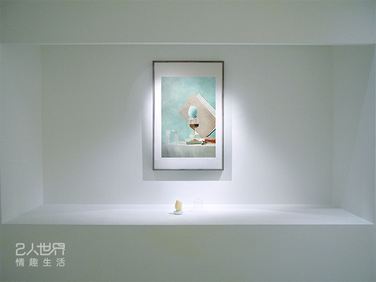 逗豆鳥 使用 心得 開箱 評價