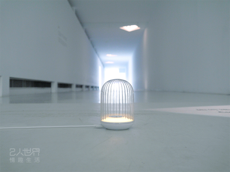 逗豆鳥 充電 夜燈 心得