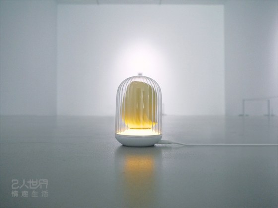 逗豆鳥 充電 夜燈 情趣