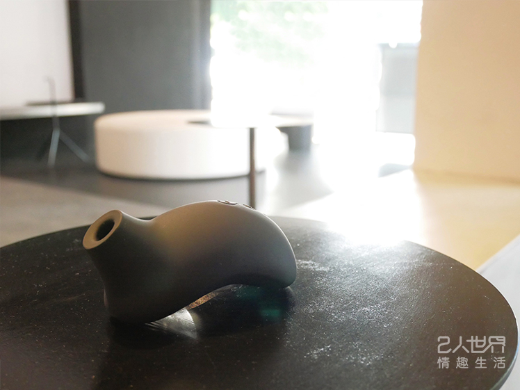 lelo sona cruise 索娜 2代 試用