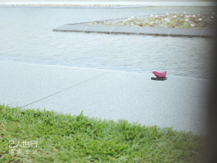 iroha 楓麗鷗 評價 開箱 情趣小物