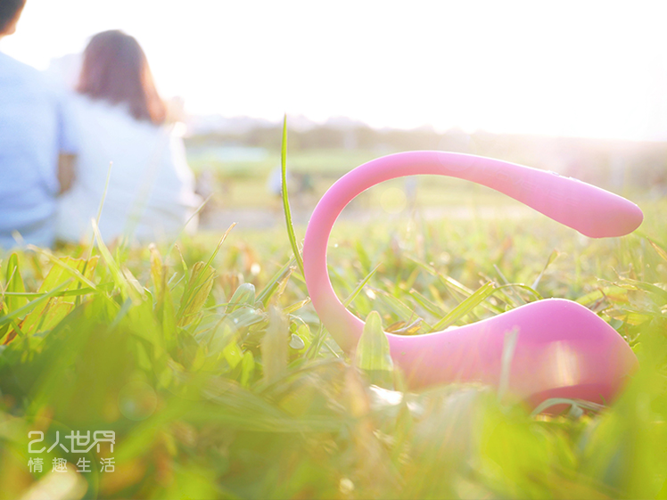 lovense lush 3 跳蛋 藍牙 遙控 推薦