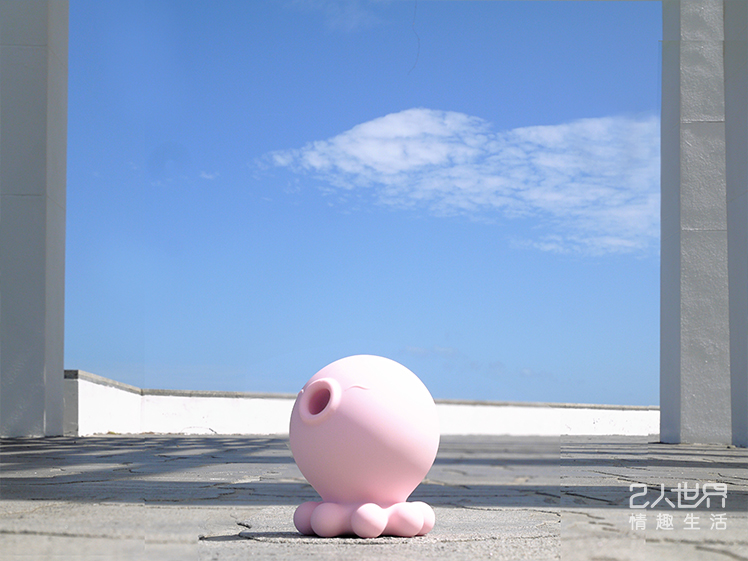 小章魚二代 哪裡買 情趣用品店 實體