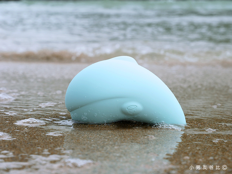 噴水海豚2.0 加溫版 清洗方式 防水程度