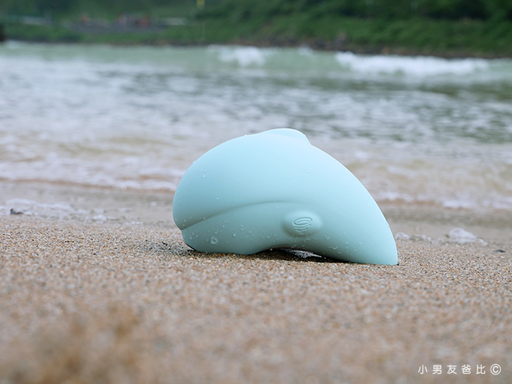 噴水海豚2.0plus加溫版 哪裡買 實體門市購買