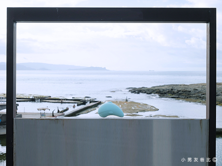 噴水海豚2.0plus加溫版 開箱 使用心得分享