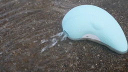 噴水海豚使用影片 使用心得