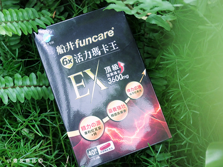 6X活力瑪卡王EX 瑪卡品牌推薦 瑪卡怎麼選 瑪卡功效 瑪卡副作用 精氨酸推薦