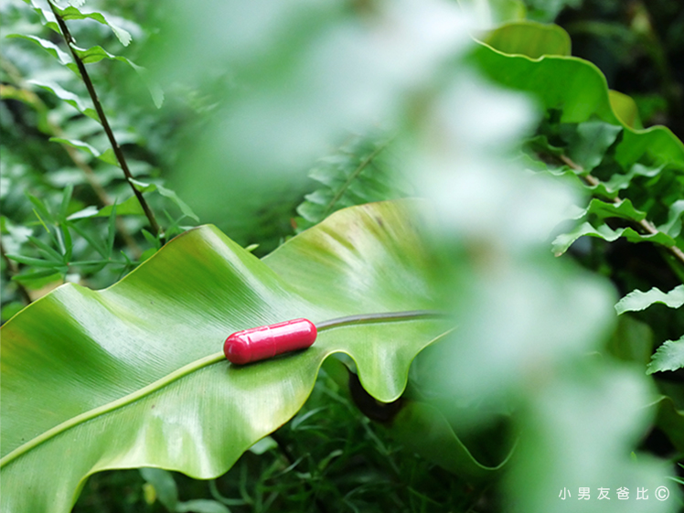 船井6X活力瑪卡王EX 瑪卡品牌推薦 瑪卡怎麼選 瑪卡功效 瑪卡推薦哪一款 瑪卡有效嗎 女生吃瑪卡