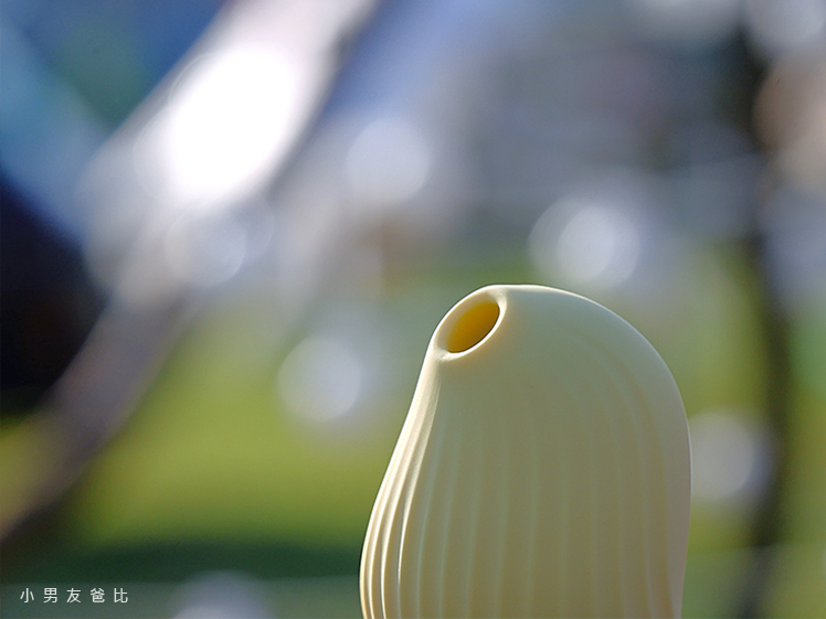 逗豆鳥二代pro 豆豆鳥吸吮器哪裡買 逗豆鳥情趣玩具哪裡買