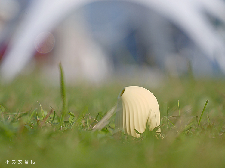 逗豆鳥評價 逗豆鳥使用心得 逗豆鳥使用分享